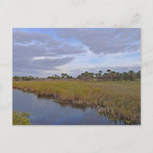 Merritt Island National Wildlife Refuge Florida Postcard