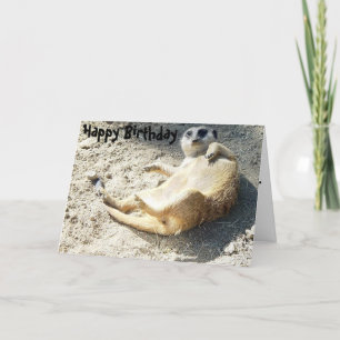 Merrkat Happy Birthday Card