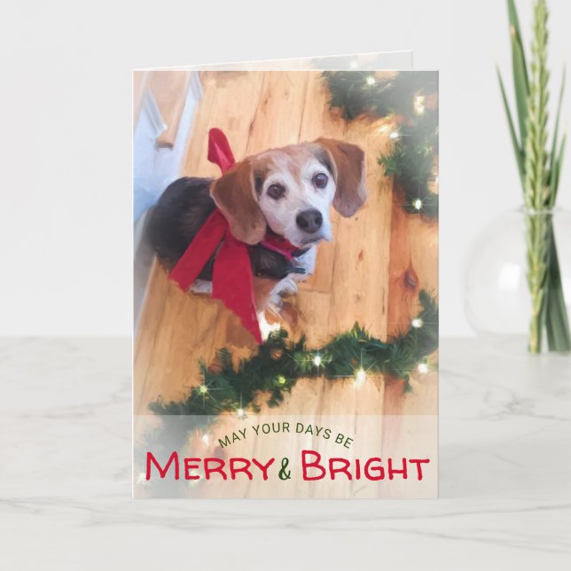 Merry and Bright Beagle Dog Red Bow Christmas Holiday Card (Front)