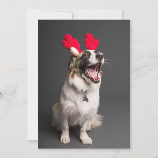 Merry and Happy Everything! Holiday Card (Front)