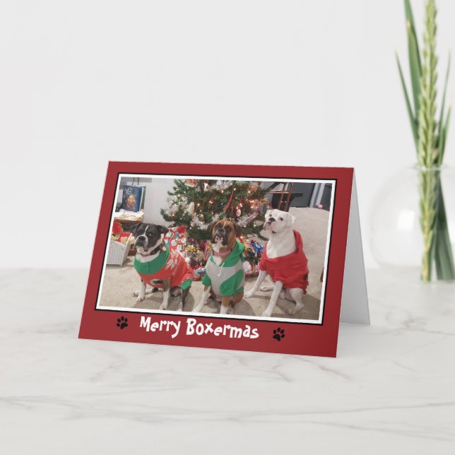 Merry Boxermas Boxer Dog Christmas Holiday Card (Front)