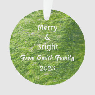 Merry & Bright Christmas Custom Name Sea Moss Gift Ornament