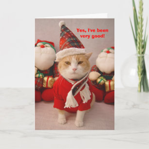 Merry Bubba Holiday Card