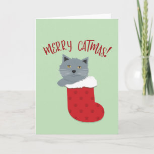 Merry Catmas Card