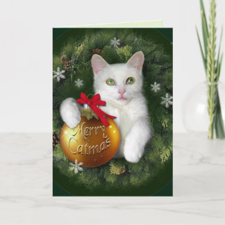 Merry Catmas Holiday Card