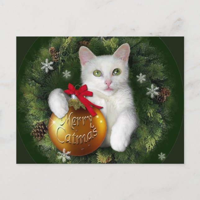 Merry Catmas Holiday Postcard (Front)
