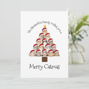 Merry Catmas Personalized Family Christmas Holiday Card