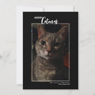 Merry Catmas Pet Photo Holiday Card