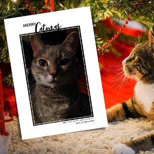 Merry Catmas Pet Photo Holiday Card