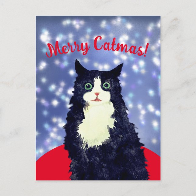 Merry Catmas Postcard (Front)