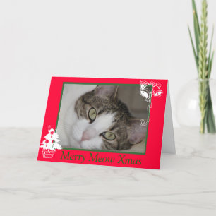 Merry Cat's Meow Christmas Holiday Card