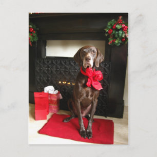 merry chrismas pointer holiday postcard