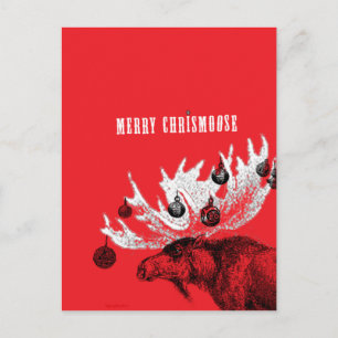 merry chrismoose holiday postcard