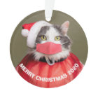 Merry Christmas 2020 Cat in Santa Hat Face Mask
