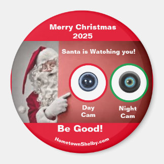 Merry Christmas 2025 Magnet