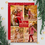 Merry Christmas 4 Photo Collage Gold Foil Holiday Card<br><div class="desc">Real foil Christmas greeting cards feature your last name and the greeting Merry Christmas and Happy New Year in chic real gold foil lettering on red with your favourite 4 photo collage bordered in real foil on the front and your first names on the back. The Live Design Service can...</div>