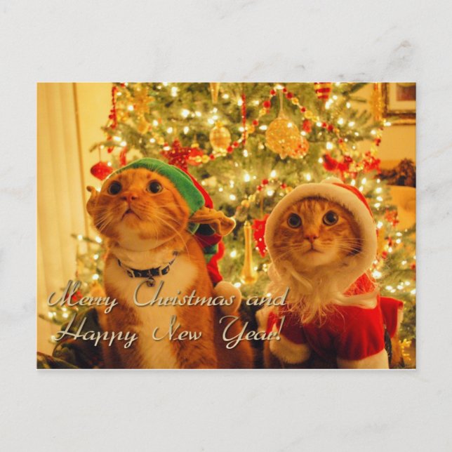 merry christmas and happy new year holiday postcard (Front)