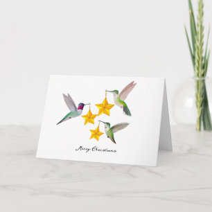 Merry Christmas Anna's Hummingbirds and Stars  Holiday Card