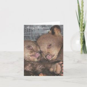 Merry Christmas - Ata & Awina Holiday Card