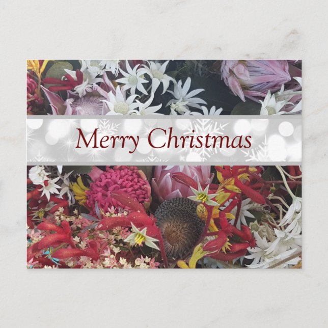 Merry Christmas Australian Native Flowers Postcard (Front)