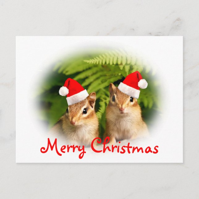 Merry Christmas Baby Chipmunks Postcard (Front)