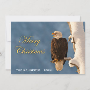 Merry Christmas - Bald Eagle Perching Holiday Card