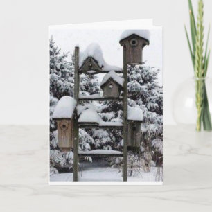 MERRY CHRISTMAS BE COZY AND WAR, CARD