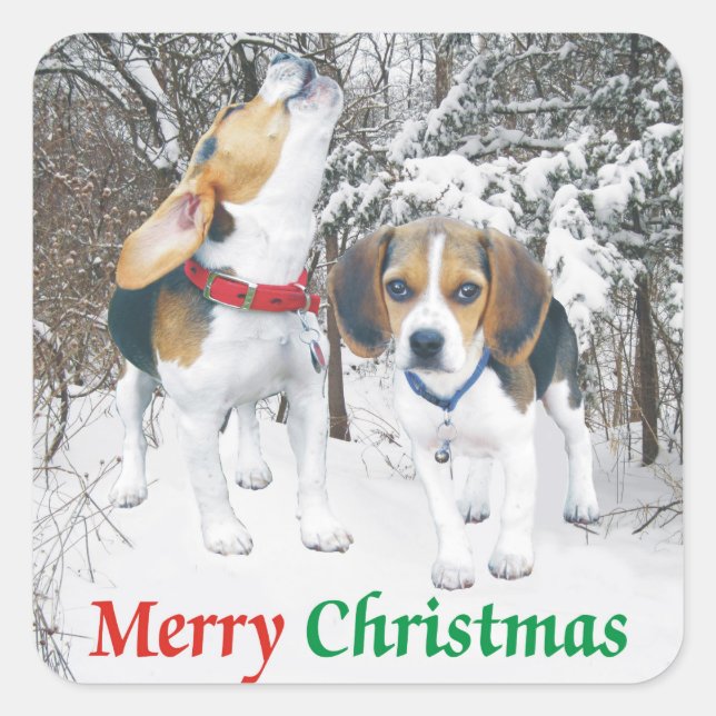 Merry Christmas Beagle Snowy Woods Stickers (Front)