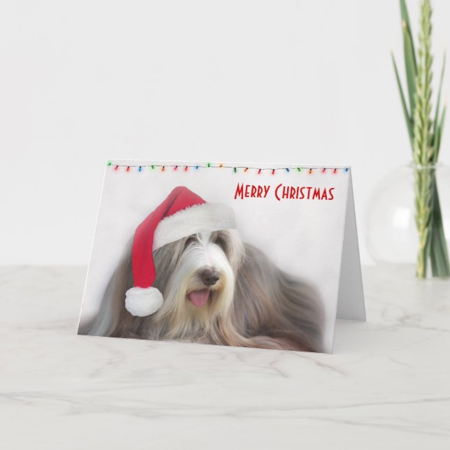 Merry Christmas Bearded Collie Holiday Card (Front)