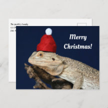 Merry Christmas Bearded Dragon in a Santa Hat