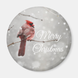 Merry Christmas Beautiful Cardinal Magnet