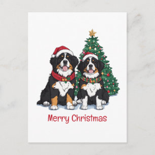 Merry Christmas Bernese Mountain Dogs Holiday Postcard