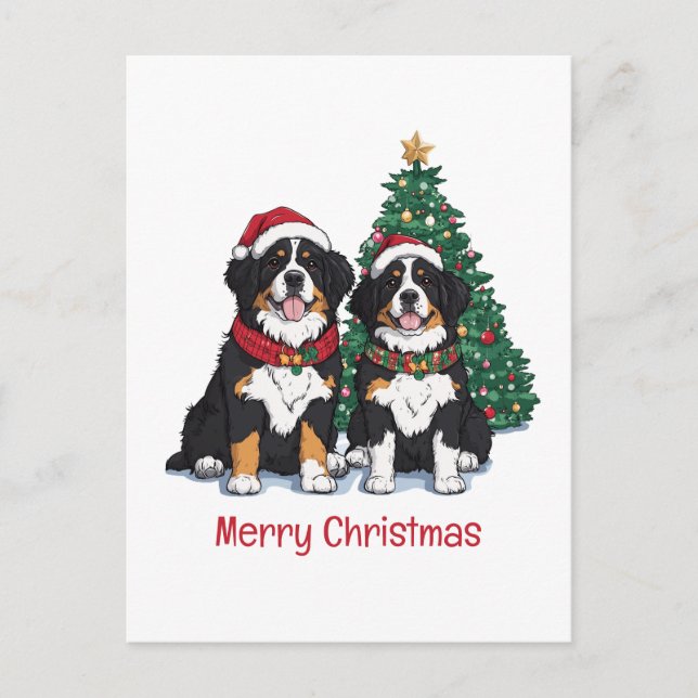 Merry Christmas Bernese Mountain Dogs Holiday Postcard (Front)