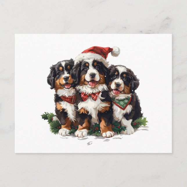 Merry Christmas Bernese Mountain Dogs Postcard (Front)
