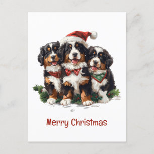 Merry Christmas Bernese Mountain Dogs Postcard