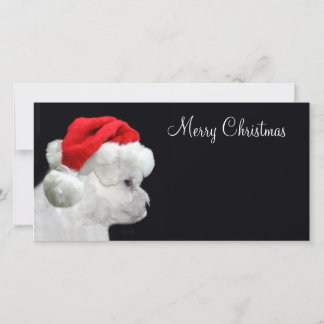 Merry Christmas Bichon Frise Holiday Card
