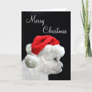Merry Christmas Bichon Frise Holiday Card