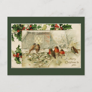 Merry Christmas Birds Holiday Postcard