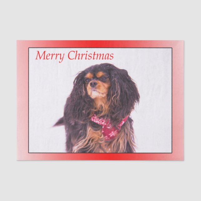 Merry Christmas Black Tan Cavalier King Charles Tissue Paper (Front)