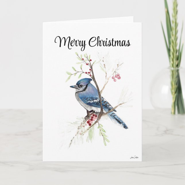 Merry Christmas Blue Jay Holiday Card (Front)