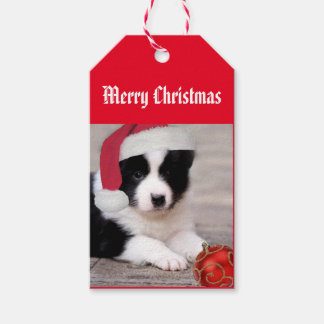 Merry Christmas - Border Collie tag