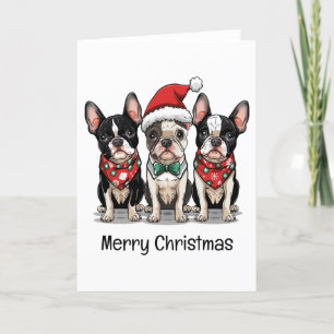 Merry Christmas Boston Terrier Dogs Holiday Card