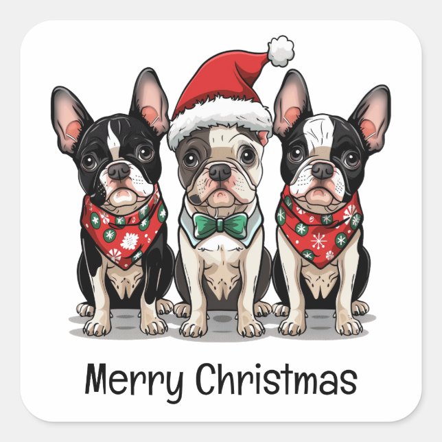 Merry Christmas Boston Terrier Dogs Square Sticker (Front)