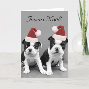 Merry Christmas Boston Terriers greeting card