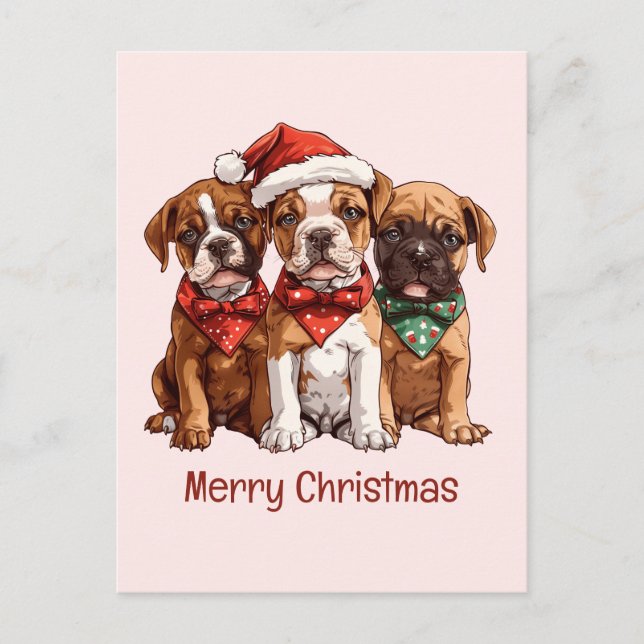 Merry Christmas Boxer Dogs Postcard (Front)