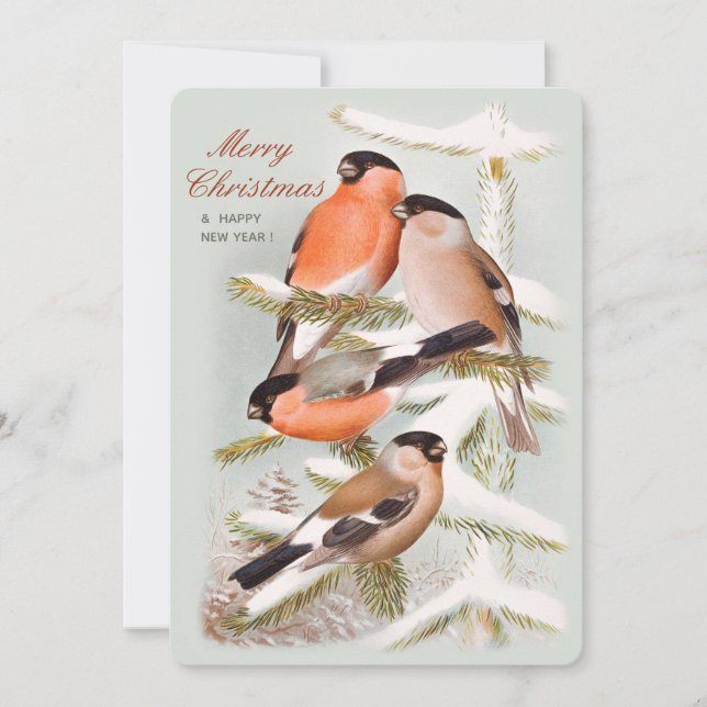 Merry Christmas Bullfinches snowy pine tree CC1058 Holiday Card (Front)