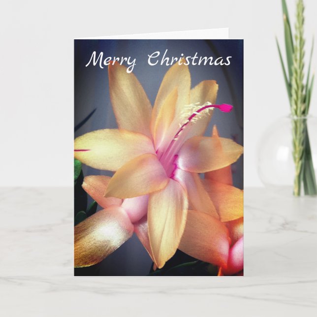 *~* Merry Christmas Cactus Flower Customise Holiday Card (Front)