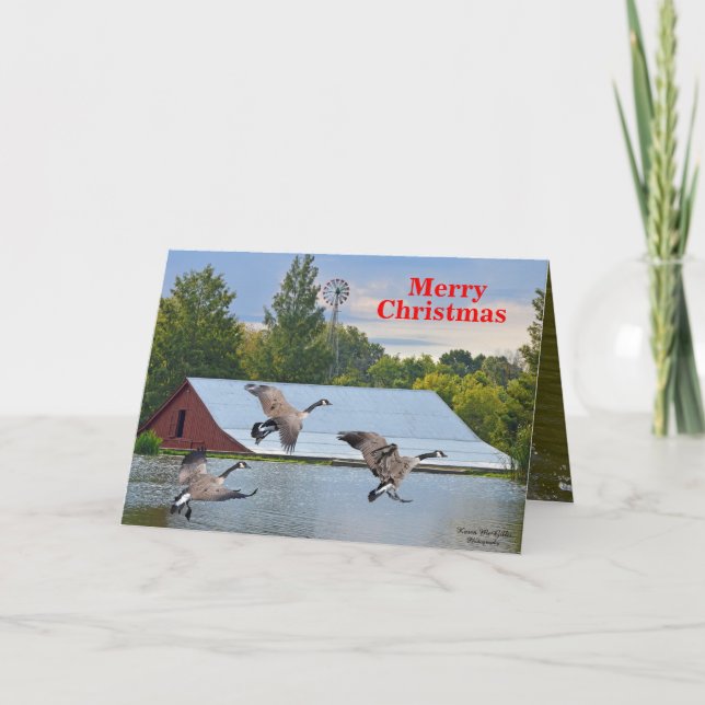 Merry Christmas Canada Geese Landing On The Pond Holiday Card (Front)