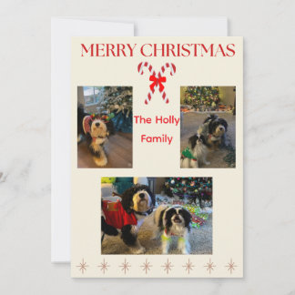 Merry Christmas Candy Cane and Twinkle Card