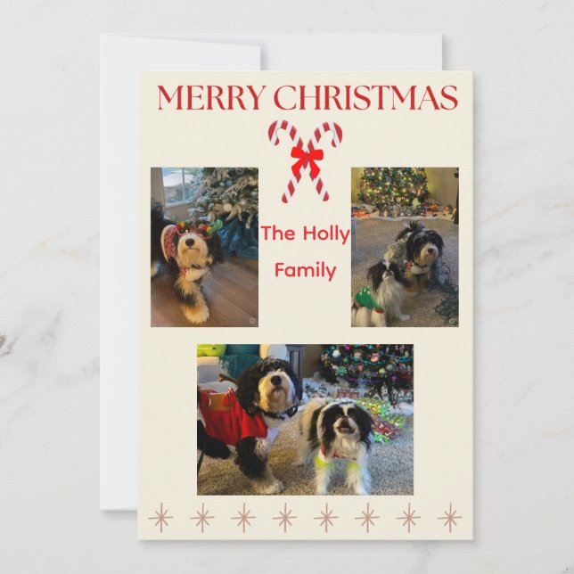 Merry Christmas Candy Cane and Twinkle Card (Front)